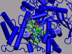 AChE with highlighted active site